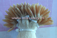Thicker Stick Hair