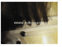 Wigs Factory