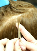 Hair Extensions