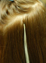 Hair Extensions